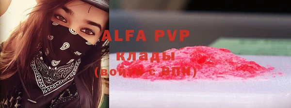 a pvp Новозыбков