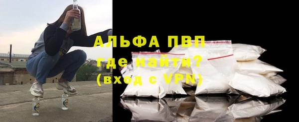 a pvp Новозыбков