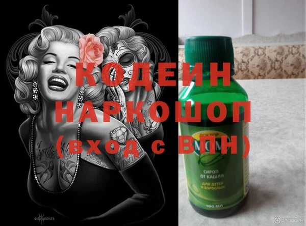 a pvp Новозыбков