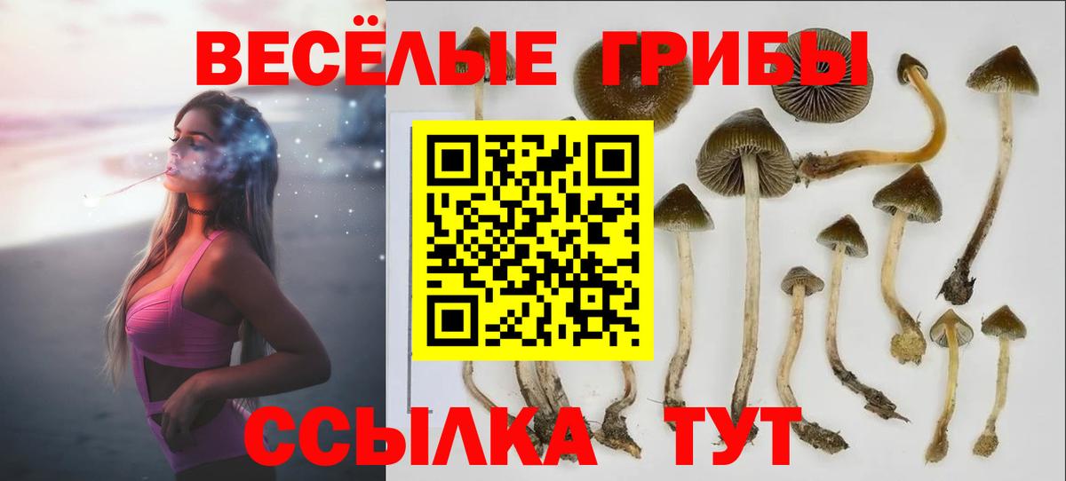 Псилоцибиновые грибы ЛСД  Вход с VPN  Крымск 