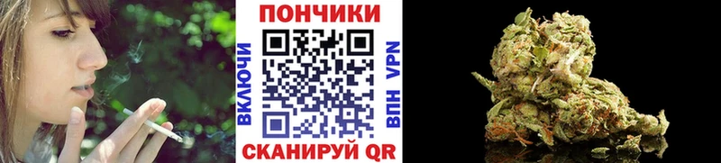 купить наркотик  Крымск  ОМГ ОМГ онион  Шишки марихуана White Widow 